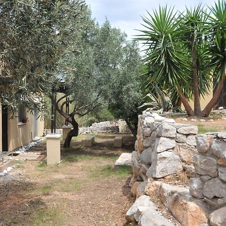 Melolia Estate Διαμέρισμα Θήβα Δωμάτιο φωτογραφία