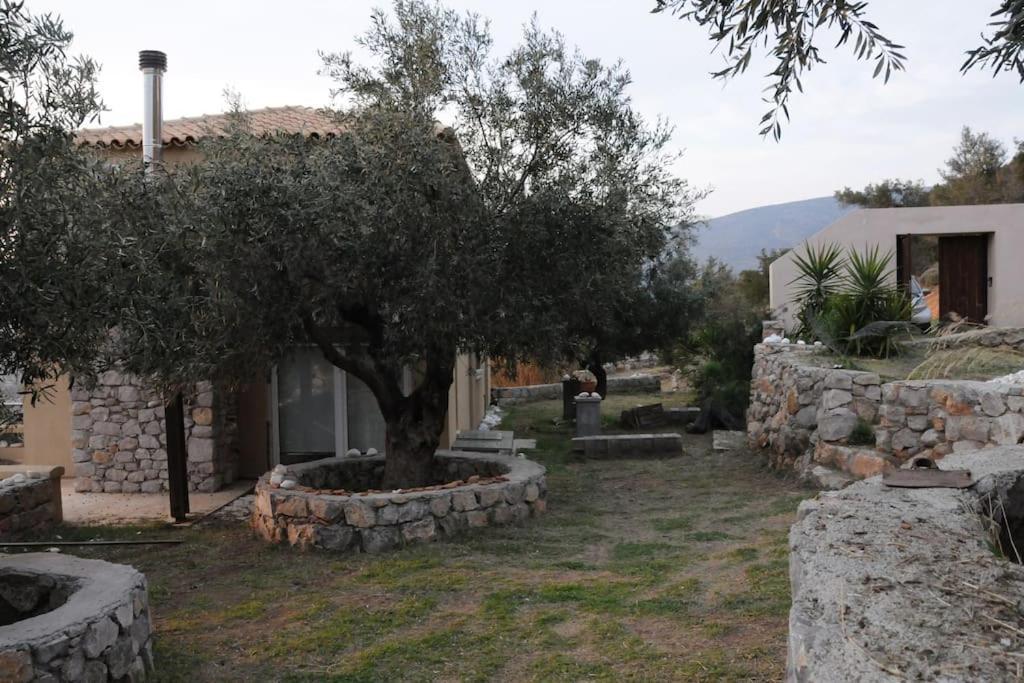 Melolia Estate Διαμέρισμα Θήβα Δωμάτιο φωτογραφία